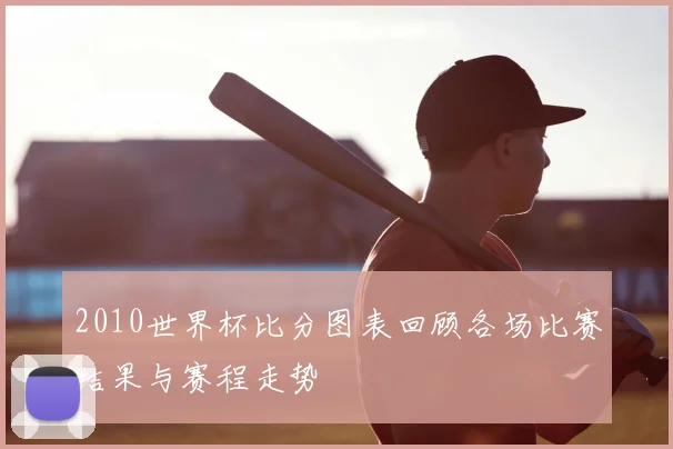 2010世界杯比分图表回顾各场比赛结果与赛程走势