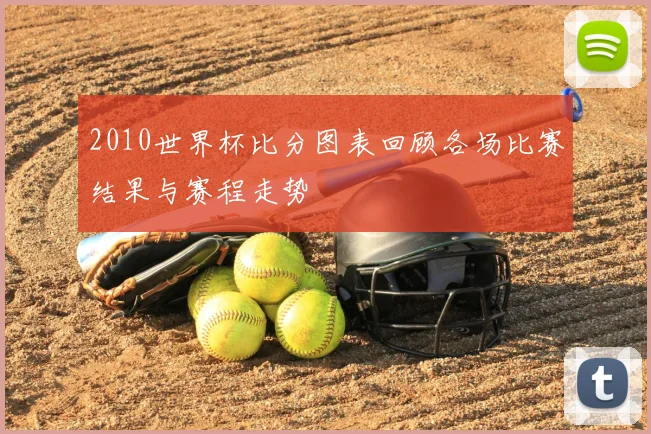 2010世界杯比分图表回顾各场比赛结果与赛程走势